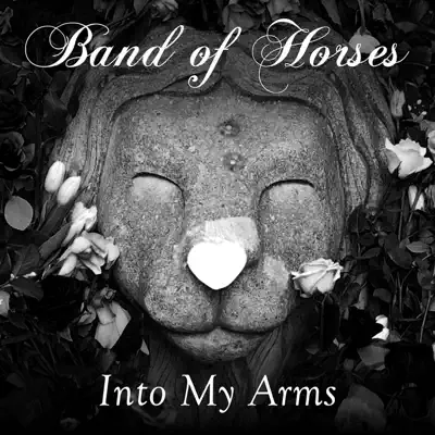 Into My Arms - Single - Band Of Horses