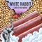 White Rabbit - Elephant Revival lyrics