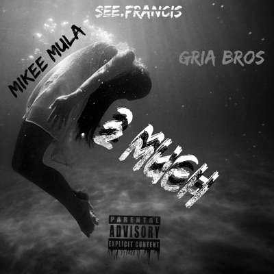 Too Much (feat. See.Francis & Mikee Mula) - Single