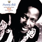 Mo Ti Mo by King Sunny Ade