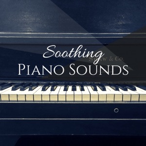 Soothing Piano Sounds - Beautiful Soundtrack for the Mind, Stress Relief Calming Music