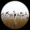 10 Years of Jaunt - Land - EP - Verschillende artiesten