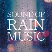 Sound of Rain Music -Calming and Relaxing BGM- artwork