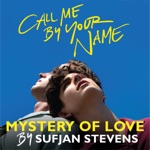Sufjan Stevens - Mystery of Love (From “Call Me By Your Name”)
