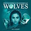 Selena Gomez & Marshmello - Wolves