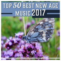 Top 50 Best New Age Music 2017 – Sleep, Meditation, Spa, Massage, Wellness, Yoga, Reading, Learning, Relaxation, Healing Nature Sounds - Relaxation Music Academy