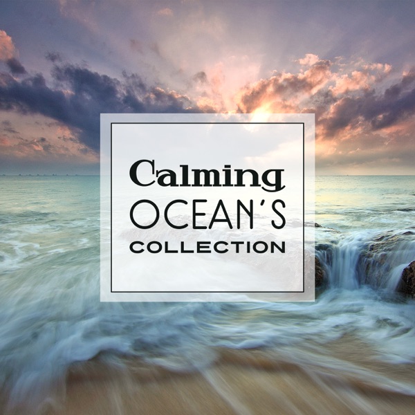 Calming Ocean's Collection: Chill, Study & Relaxation