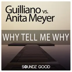 Why Tell Me Why (Guilliano vs. Anita Meyer) [feat. Miami Inc.] - Anita Meyer