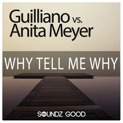 Why Tell Me Why (Guilliano vs. Anita Meyer) [feat. Miami Inc.] - Anita Meyer