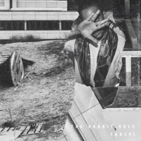 The RABBiT HOLE - Single - FABZ Pi