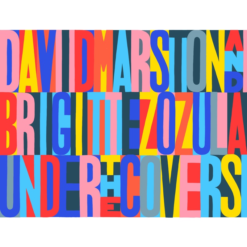 Feel Your Soul (feat. Frano) - David Marston & Brigitte