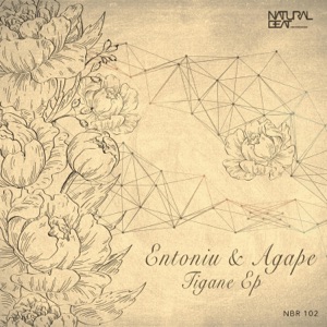 Tigane - Single