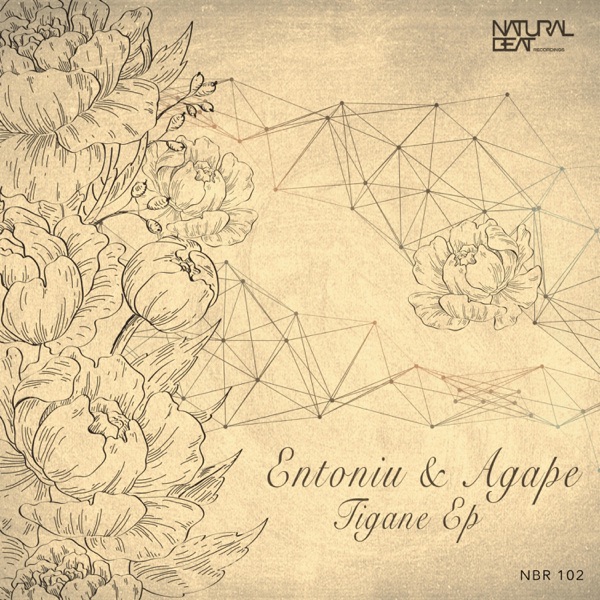Tigane - Single