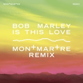 Bob Marley - Is This Love