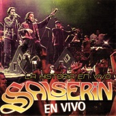 Salserín (En Vivo) artwork