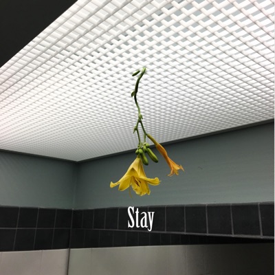 Stay (feat. Quillko) - Single