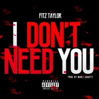 I Don't Need You - Single - Fitz Taylor