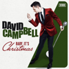 Baby It's Christmas - David Campbell