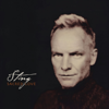 Shape of My Heart (From "All This Time") - Sting