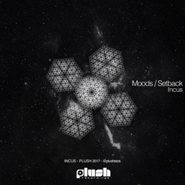 Moods Incus