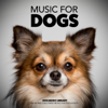 Music for Dogs: Relax and Chill Piano Music for Dogs & Pets - Dog Music Library