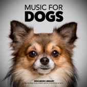 Music for Dogs: Relax and Chill Piano Music for Dogs & Pets artwork