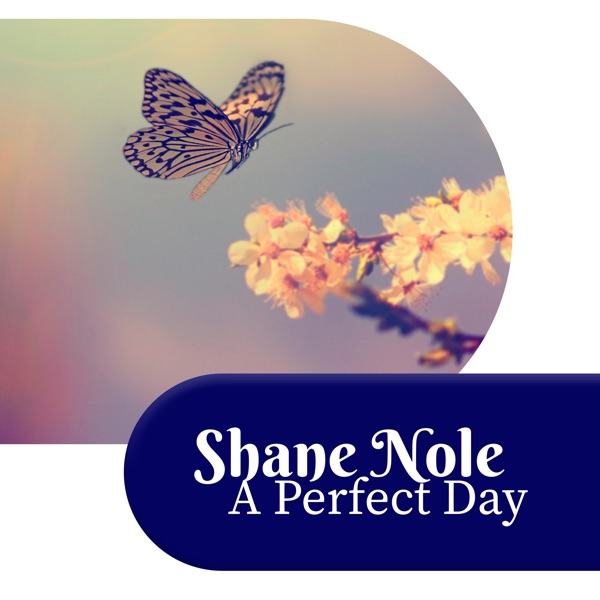 A Perfect Day