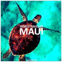 Green Turtle