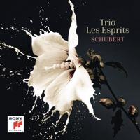 Trio Les Esprits - Schubert artwork