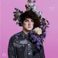 Plastic Flowers