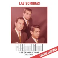 Diariamente