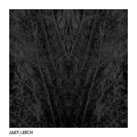 The Hallows Andy Leech