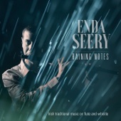 Enda Seery - Garranmore / The Hills of Tipperary / Plea Bargain-Reels