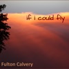 If I Could Fly (feat. Terry Wright)