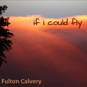 If I Could Fly (feat. Terry Wright) - Single