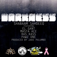 Darkness (feat. El Gant, Masta Ace, Pawz One & Ras Kass) - Single - Shabaam Sahdeeq