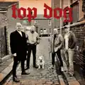 TOP DOG