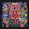 Syzygy - Finding Treasures