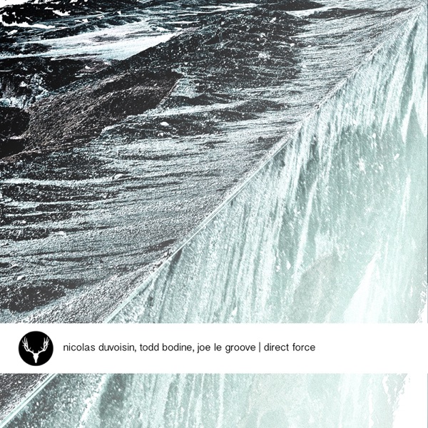 Direct Force - Single