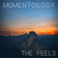 The Feels - Momentology