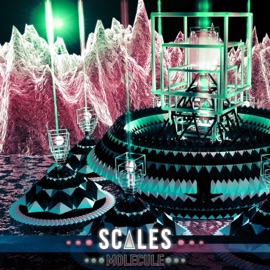 On the Come Up Scales