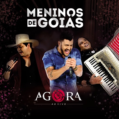 Jogo Do Amor / Foto 3X4 (feat. Marcos Paulo e Marcelo) [Ao Vivo] - Meninos  de Goias