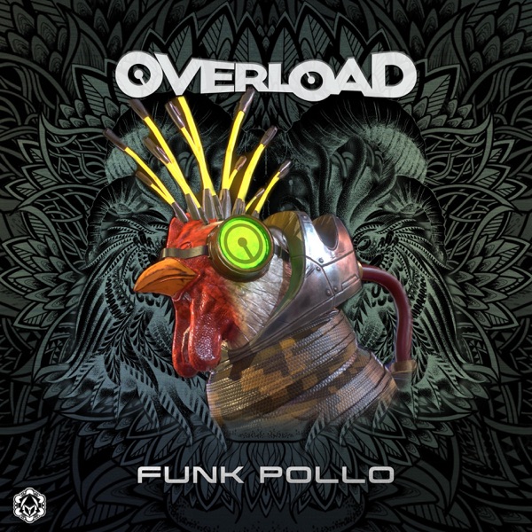 Funk Pollo - Single