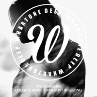 House Is More Than Just a Feeling (Aneesh Gera 2017 Mix) - Single - Aneesh Gera