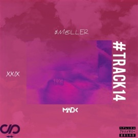 #Track14 $moller
