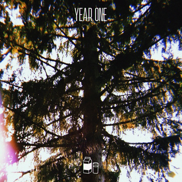 Year One
