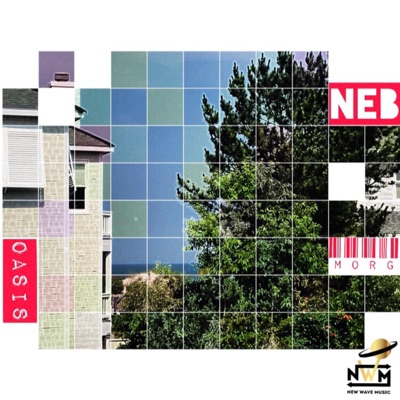 Oasis (feat. NEB) - Single