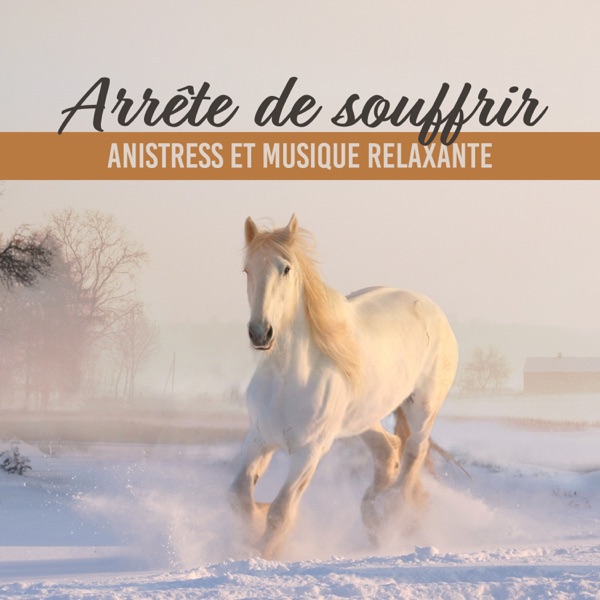 Arrête de souffrir: Anistress et musique relaxante, sons de la nature, surmonte la dépression et commence une pensée positive