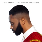The African Gentleman artwork