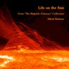 Life on the Sun - Single